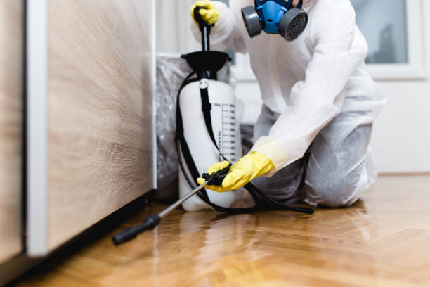 Best Mosquito Control Services  in Woodlake, CA