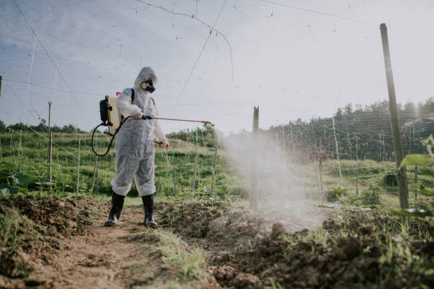 Professional Pest Control in Woodlake, CA