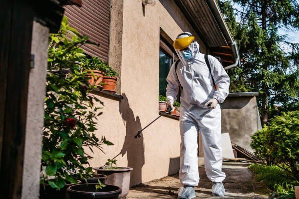 Best Bird Control  in Woodlake, CA