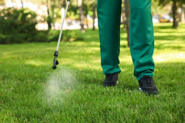 Best Bed Bug Extermination  in Woodlake, CA