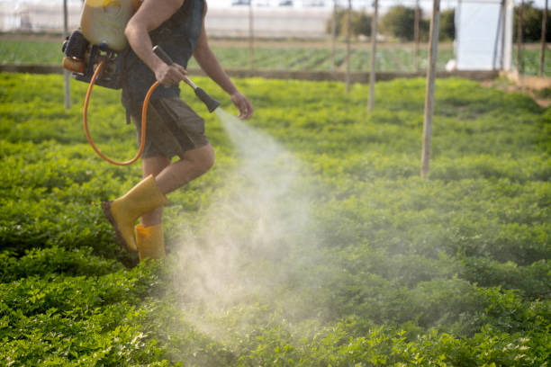 Best Pest Inspection Near Me  in Woodlake, CA