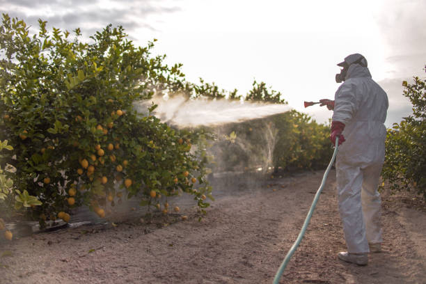 Best Emergency Pest Control  in Woodlake, CA