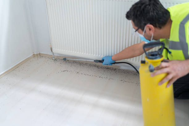 Best Bed Bug Extermination  in Woodlake, CA
