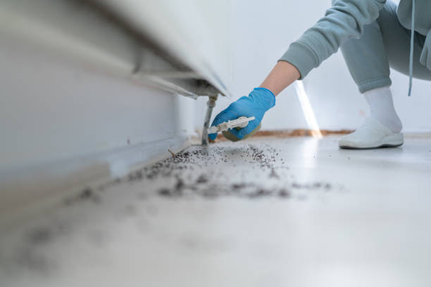 Best Cockroach Control Services  in Woodlake, CA